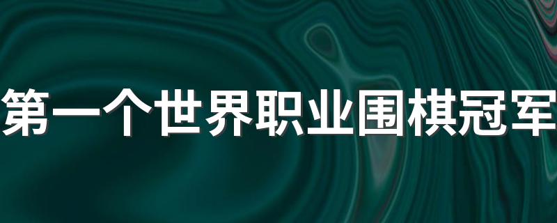 第一个世界职业围棋冠军 第一个世界职业围棋冠军是武宫正树