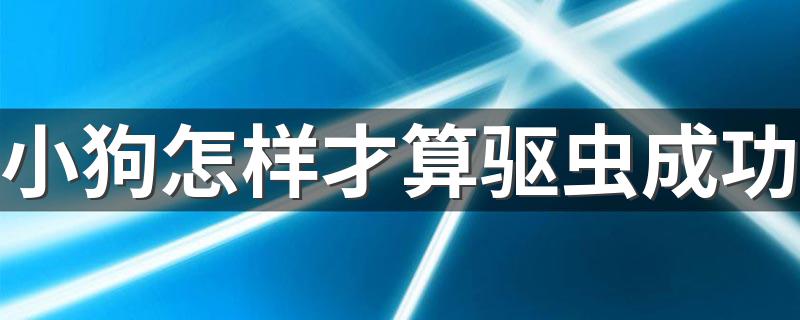 小狗怎样才算驱虫成功 观察便便很重要