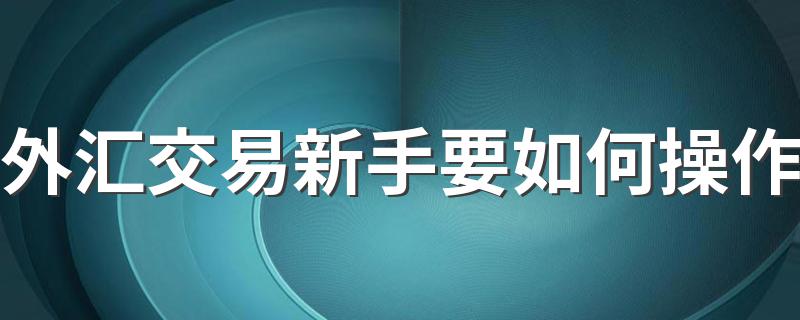 外汇交易新手要如何操作 外汇交易新手要怎样操作