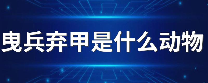 曳兵弃甲是什么动物 理由是什么