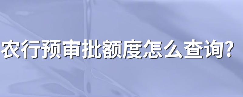 农行预审批额度怎么查询? 具体查询方法教程