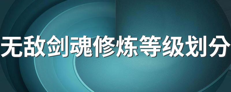 无敌剑魂修炼等级划分 简单介绍小说内容