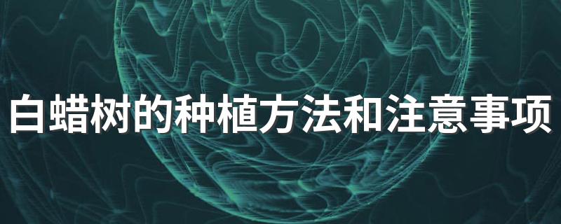 白蜡树的种植方法和注意事项 详解白蜡树的种植方法和注意事项有哪些