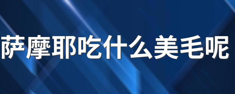 萨摩耶吃什么美毛呢 能让萨摩耶美毛的食物