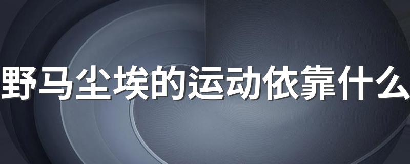 野马尘埃的运动依靠什么 野马尘埃是什么意思？