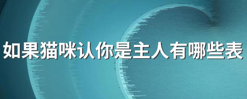 如果猫咪认你是主人有哪些表现 猫咪认定你是主人的7个表现