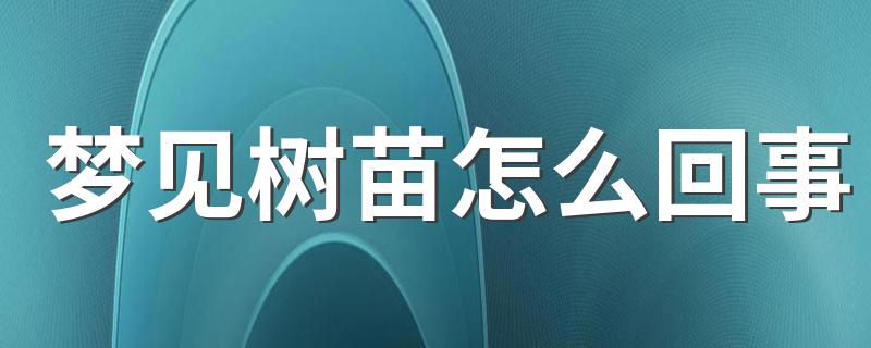 梦见树苗怎么回事 相关梦境大分析