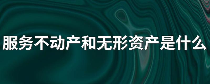 服务不动产和无形资产是什么意思? 这里有最正确的解答