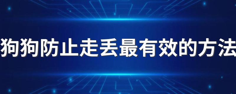 狗狗防止走丢最有效的方法 狗狗防止走丢最有效的方法有什么