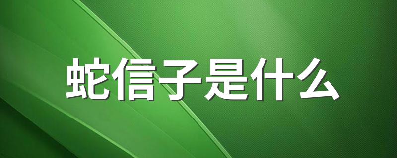 蛇信子是什么 原来是蛇的这个器官