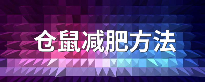 仓鼠减肥方法 怎么帮仓鼠减肥