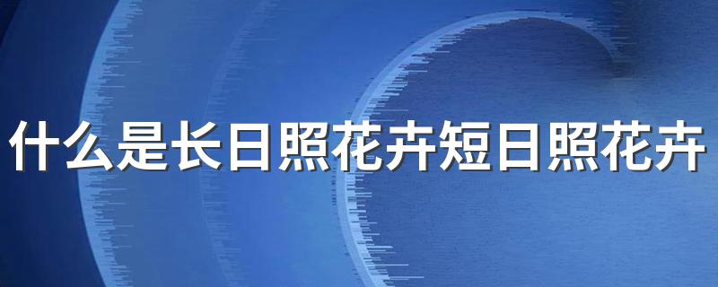 什么是长日照花卉短日照花卉中性花卉 花卉的相关知识