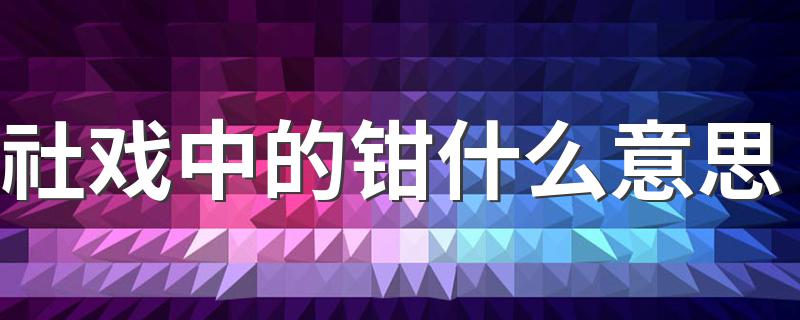 社戏中的钳什么意思 原来指的是这个意思