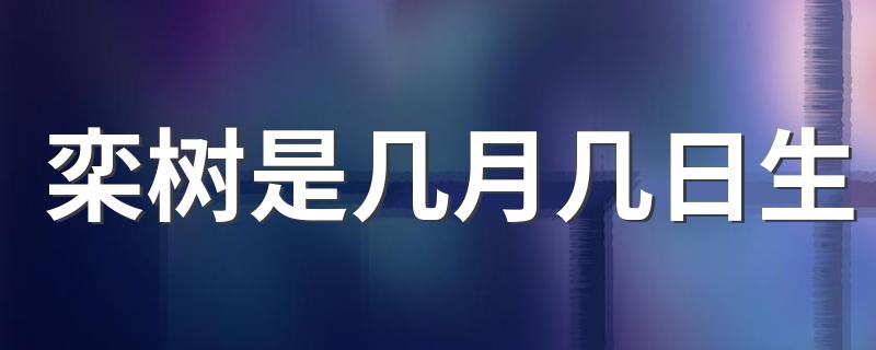 栾树是几月几日生 大家可以了解一下