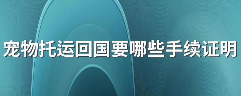 宠物托运回国要哪些手续证明 办理宠物托运你需要知道的几点