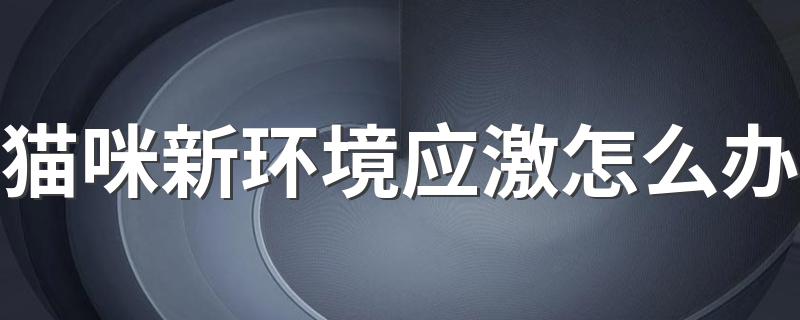 猫咪新环境应激怎么办 猫咪新环境应激如何解决