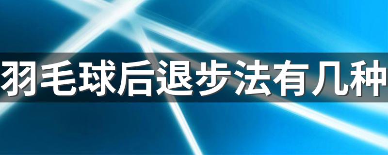 羽毛球后退步法有几种 大家一起来学习