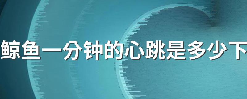 鲸鱼一分钟的心跳是多少下 鲸鱼一分钟心跳是多少次