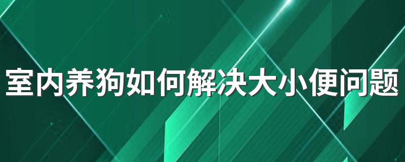 室内养狗如何解决大小便问题 室内养狗解决大小便问题 的技巧