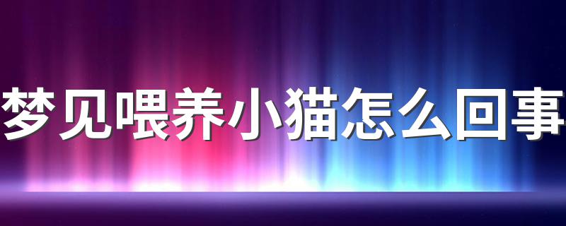 梦见喂养小猫怎么回事 预示好事要发生吗