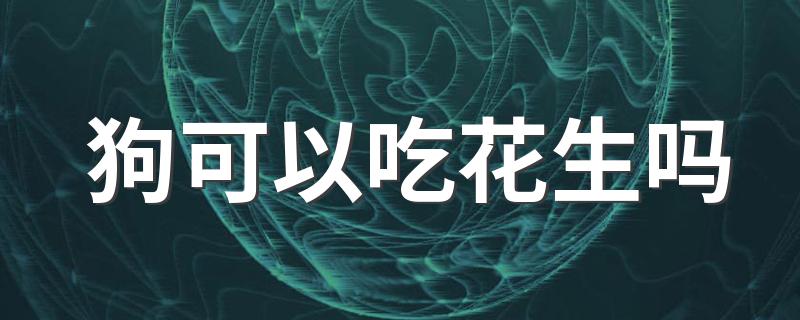 狗可以吃花生吗 能否给狗狗吃花生