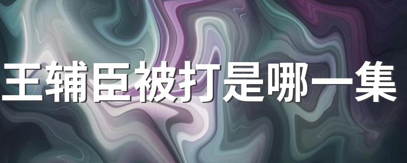 王辅臣被打是哪一集 有空可以看看