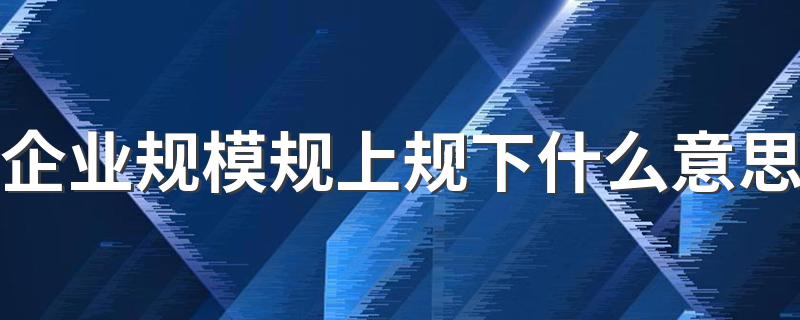 企业规模规上规下什么意思 规上规下具体解释