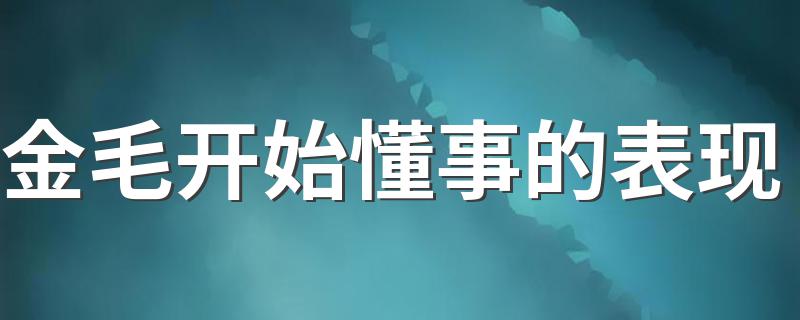 金毛开始懂事的表现 你都知道吗