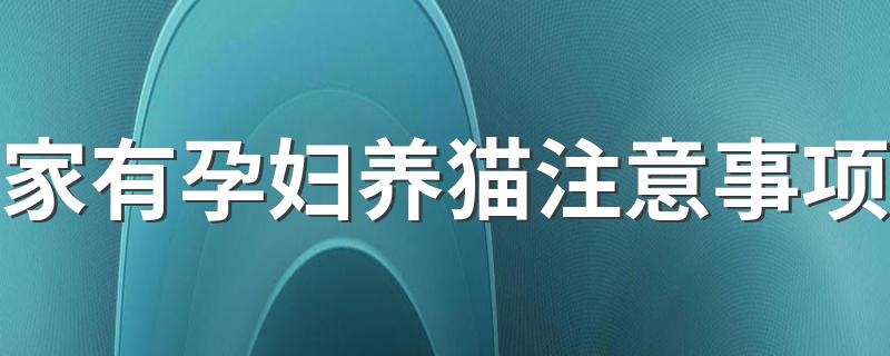 家有孕妇养猫注意事项 怀孕了养猫需要注意什么