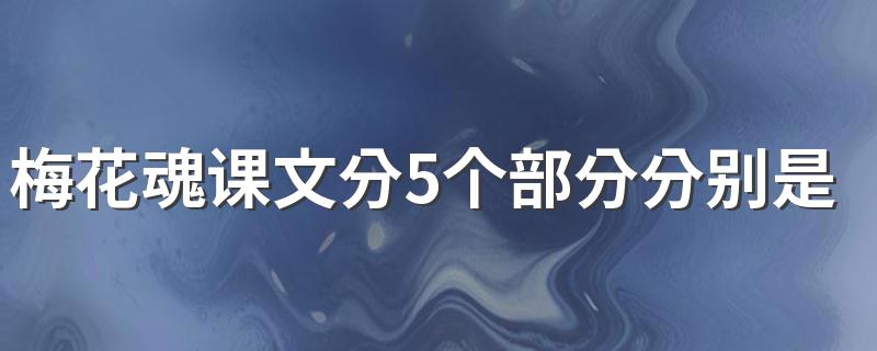 梅花魂课文分5个部分分别是什么? 梅花魂课文5个部分简述