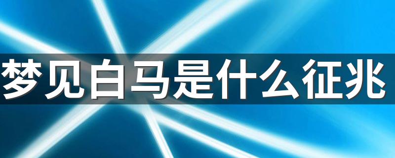 梦见白马是什么征兆 周公解梦带你了解真相