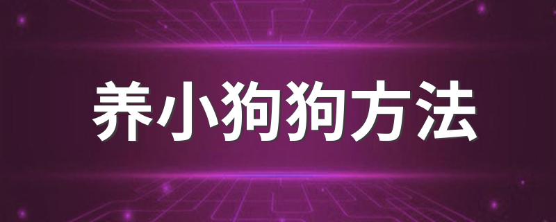 养小狗狗方法 饲养幼犬的正确方法