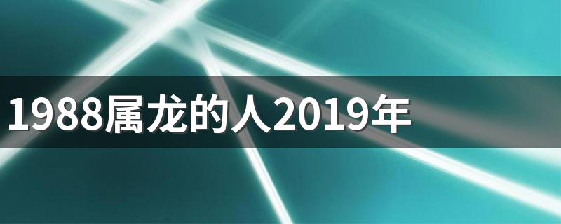 1988属龙的人2019年运势 想了解的赶紧往下看