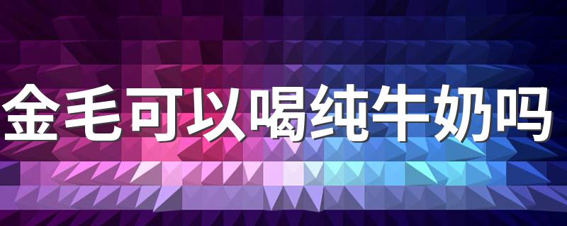 金毛可以喝纯牛奶吗 该怎么给金毛犬喂奶