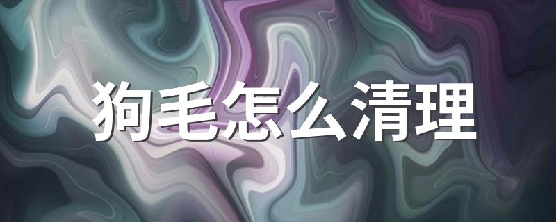 狗毛怎么清理 有什么清理的小技巧