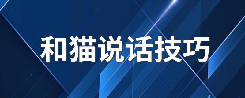 和猫说话技巧 怎样和你的猫咪对话