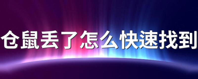 仓鼠丢了怎么快速找到 具体寻找方法