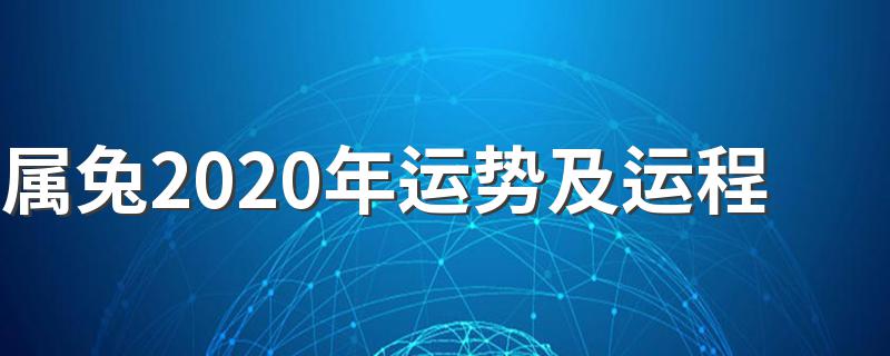 属兔2020年运势及运程 属兔人2020年运势是什么