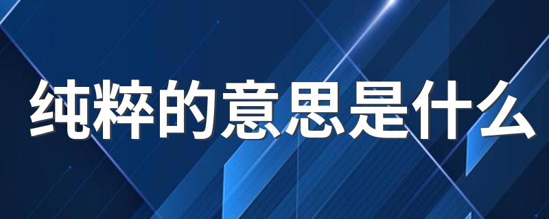 纯粹的意思是什么 纯粹的意思简述