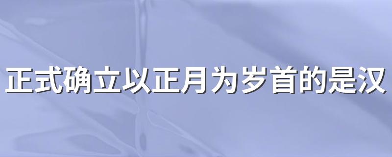 正式确立以正月为岁首的是汉代的什么时期 岁首意思介绍