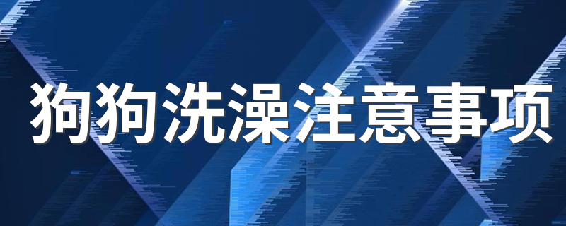 狗狗洗澡注意事项 这些常识一定要知道