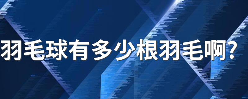 羽毛球有多少根羽毛啊? 对于羽毛有什么要求