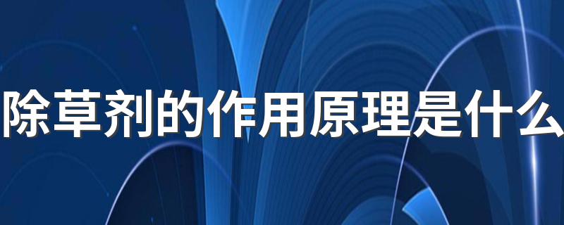 除草剂的作用原理是什么 除草剂的作用原理简述