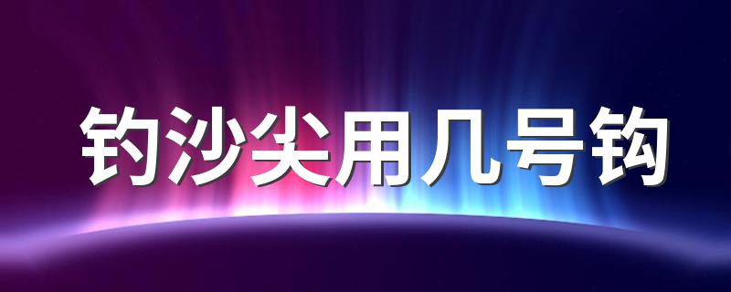 钓沙尖用几号钩 具体原因介绍