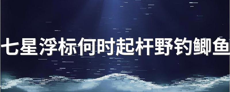 七星浮标何时起杆野钓鲫鱼 具体介绍