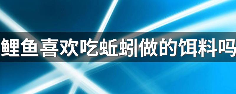 鲤鱼喜欢吃蚯蚓做的饵料吗 还喜欢吃什么