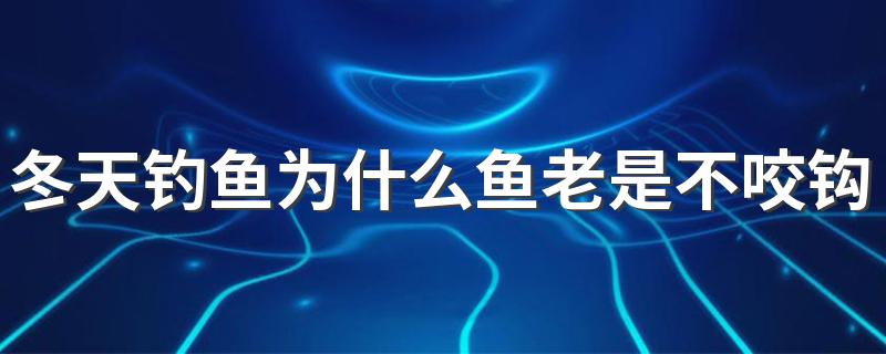 冬天钓鱼为什么鱼老是不咬钩 冬天鱼不咬钩的原因和解决办法