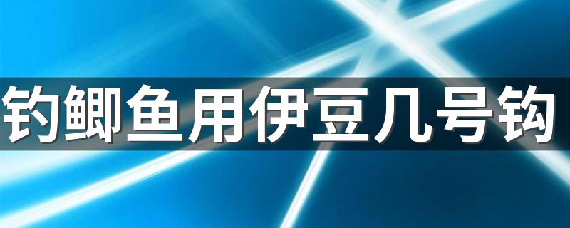 钓鲫鱼用伊豆几号钩 钓鲫鱼的钩子越小越好