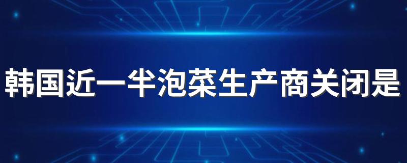 韩国近一半泡菜生产商关闭是什么原因 白菜价格涨了吗