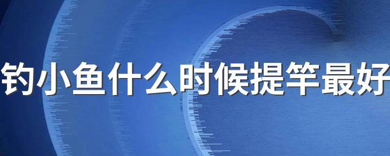 钓小鱼什么时候提竿最好 钓小鱼什么时候提竿的方法